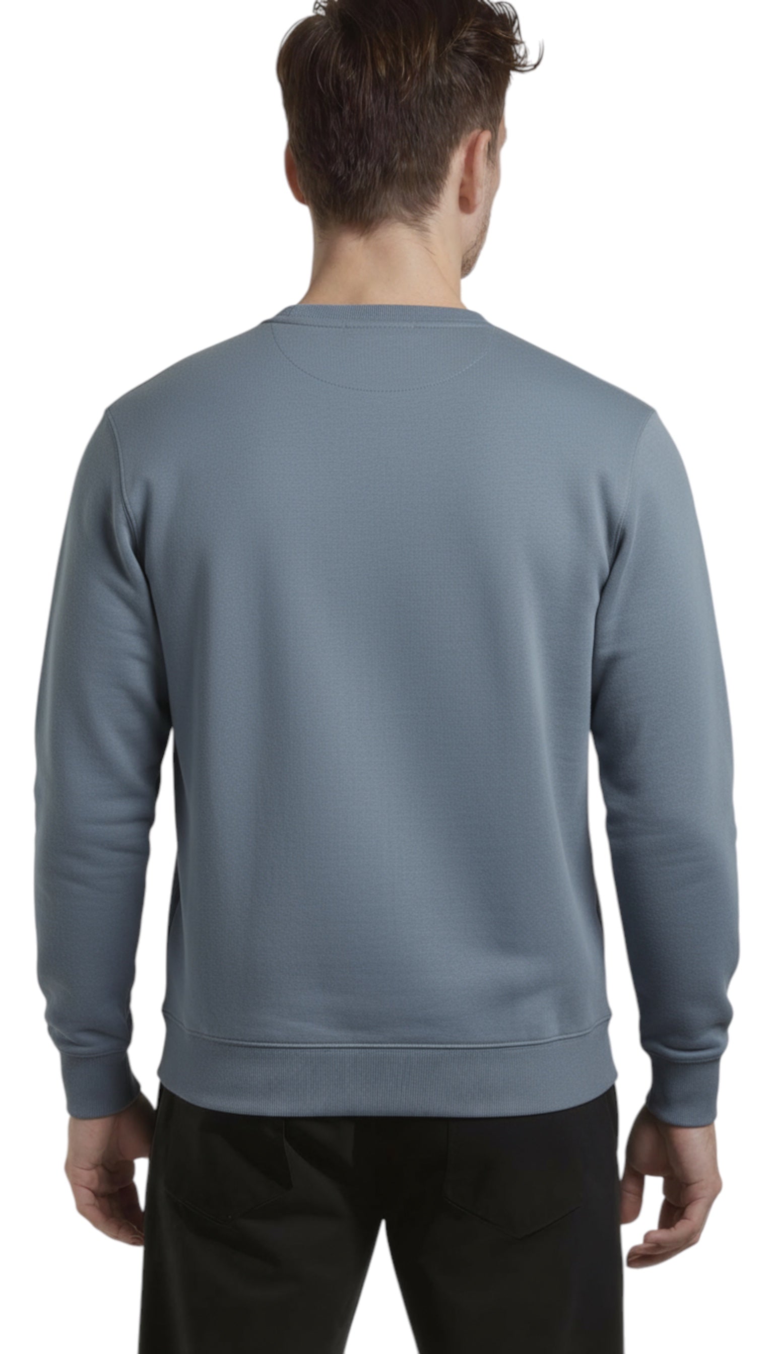 Kenzo classics lucky tiger blue men's sweatshirt